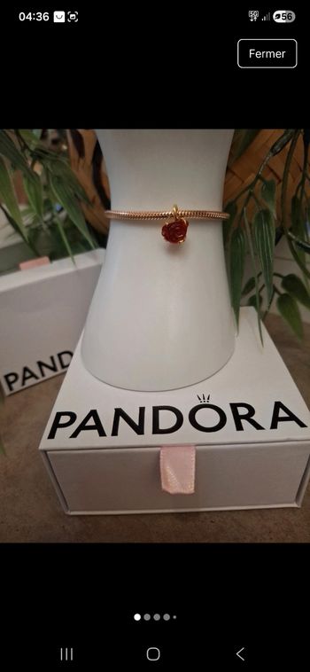 Charm Rose éternelle de la belle et la bête 