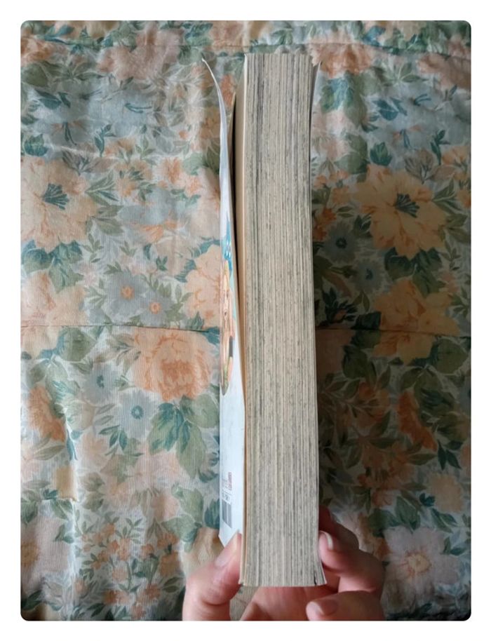 Mangas fairy taille l'intégrale tome 5 - photo numéro 6
