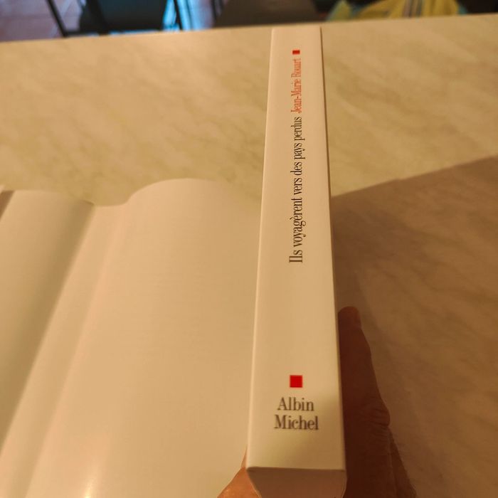 Il voyageait vers des pays perdus de Jean-Marie Rouart - photo numéro 6