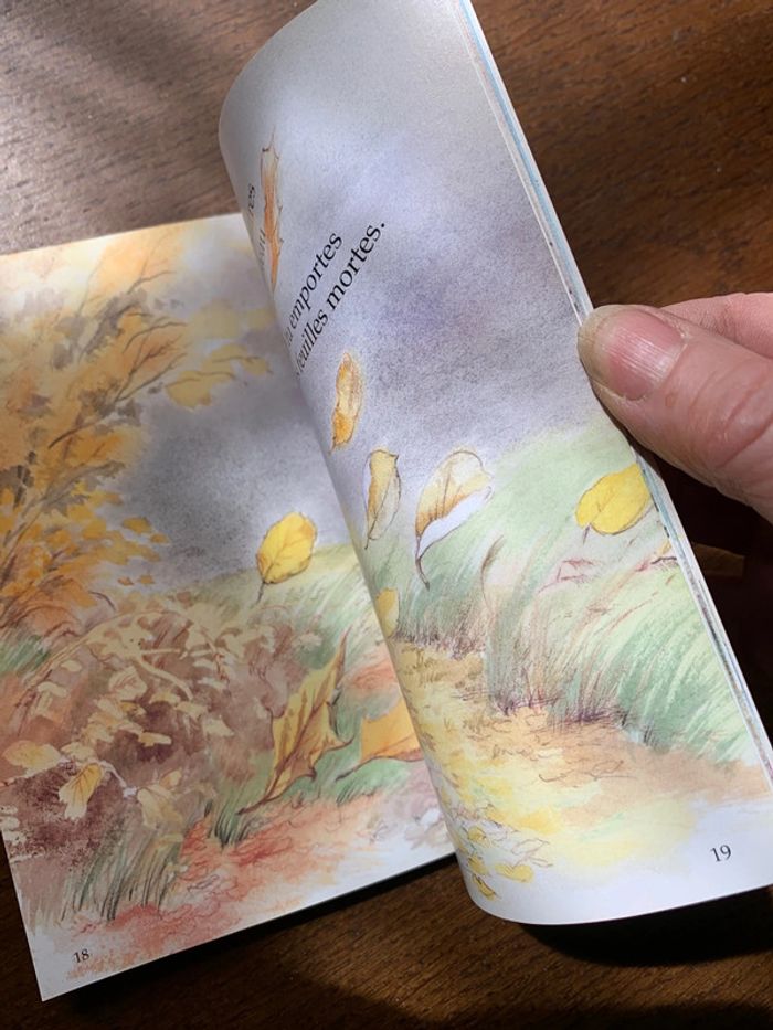 Le vent - photo numéro 9