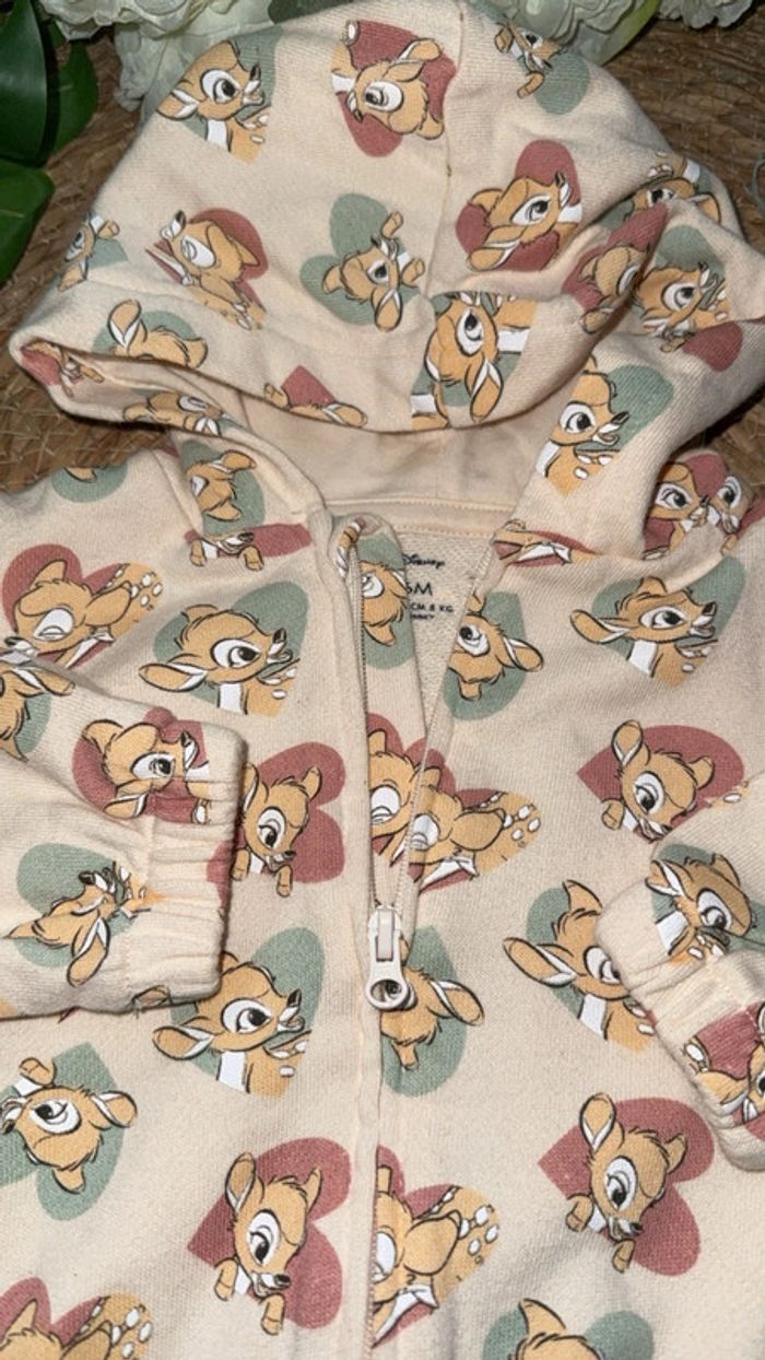 Veste - photo numéro 3