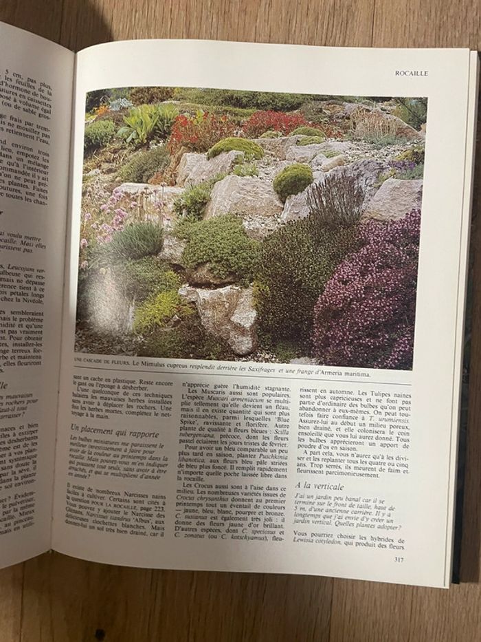 Votre jardin: 1000 questions 1000 réponses - photo numéro 4