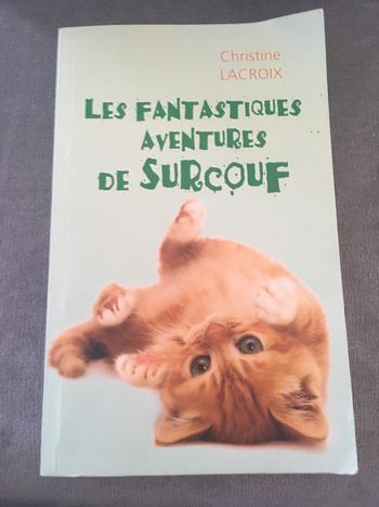 Les fantastiques aventures de Surcouf