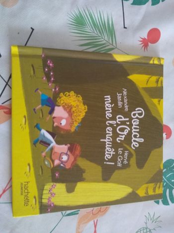 Livre enfant Boucle d'Or mène l'enquête