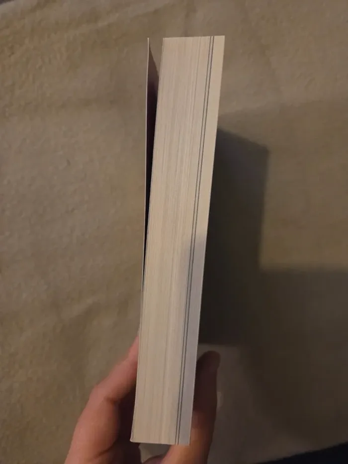 The Prison Healer – Tome 1 : La Guérisseuse de Zalindov – Lynette Noni - photo numéro 3