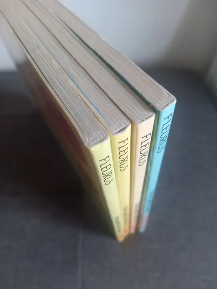 Livres collection "trois petit tour dans " éditions fleurus - photo numéro 9