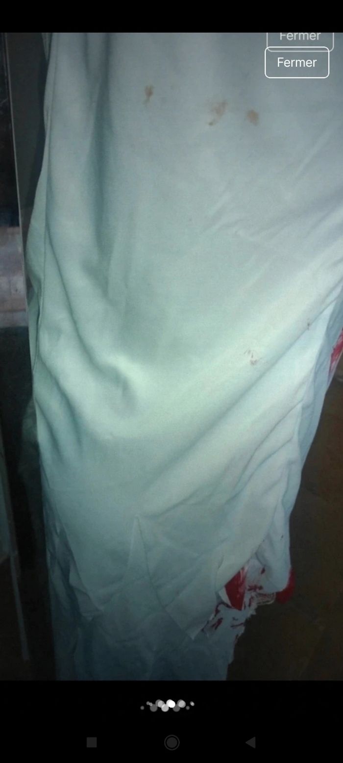 Déguisement femme f12 - photo numéro 9