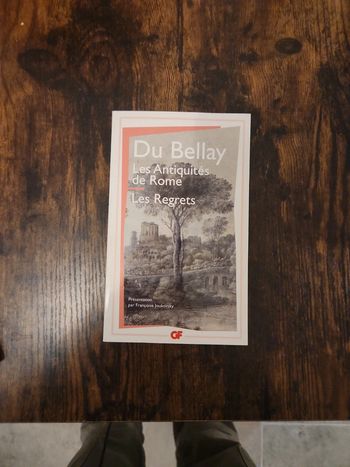 Livre : Les antiquités de Rome