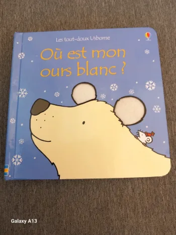 Livre où est mon ours en brun ?