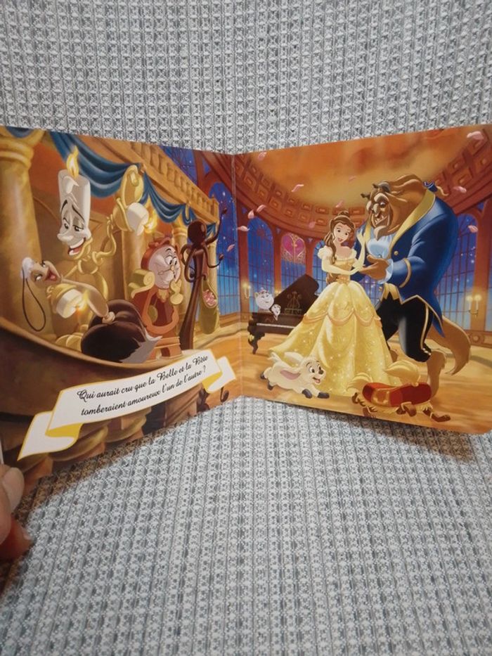 Mes princesses préférées - Disney Princess - photo numéro 2