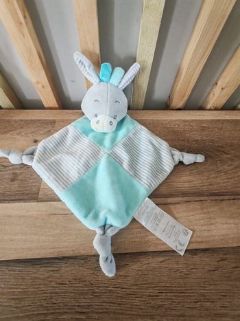 Âne cheval Tom et kiddy 