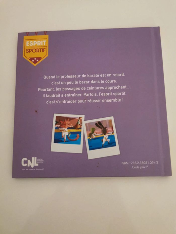 Livre hachette jeunesse esprit sportif le tournoi de karaté - photo numéro 2