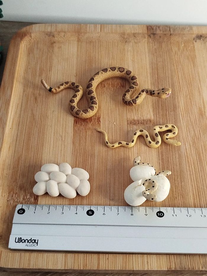 Figurine cycle de vie du serpent - photo numéro 6