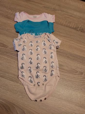 Lot 3 body manche courte