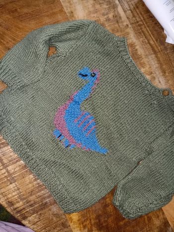 Pull laine fait main 4ans dinosaure