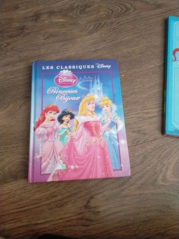 Livre princesse