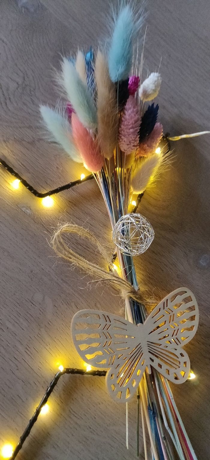 Étoile lumineuse - photo numéro 3