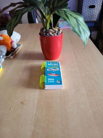 Quitte à réviser autant s amuser Ce1 à Cm1