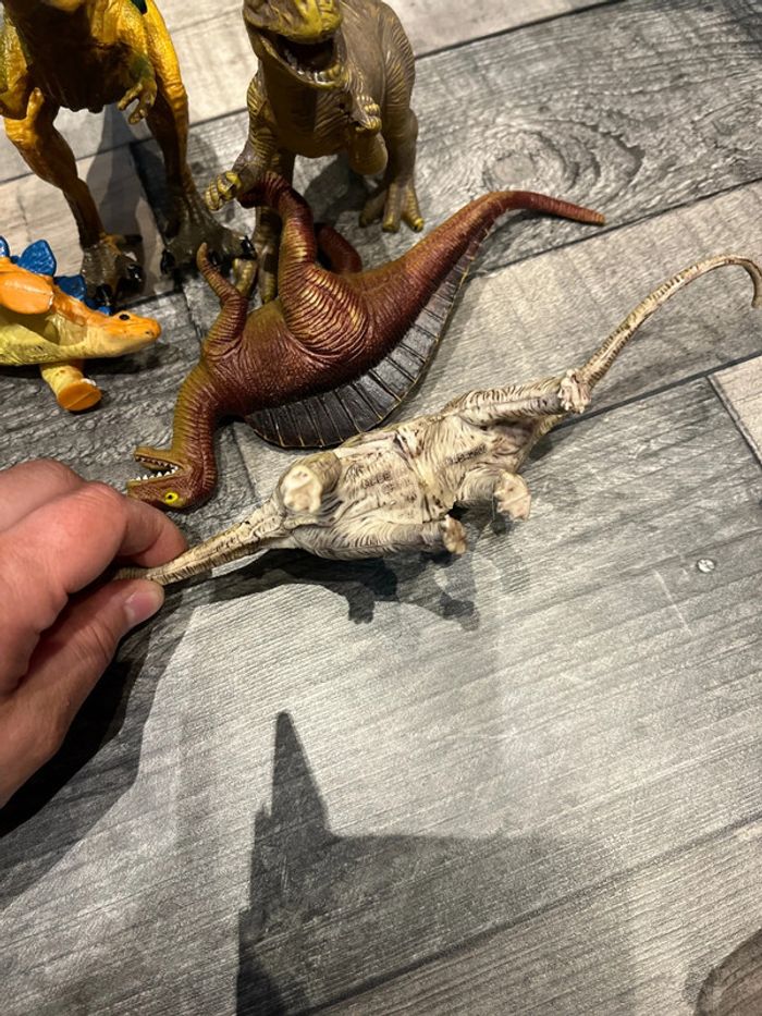 Dinosaures en bon état - photo numéro 5