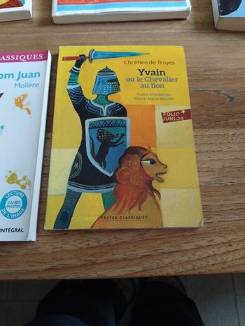 Yvain ou le chevalier au lion