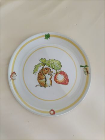 Assiette en plastique