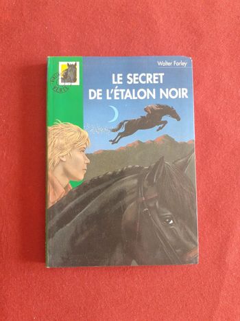 Le secret de l'étalon noir tome 326 " Bibliothèque verte "