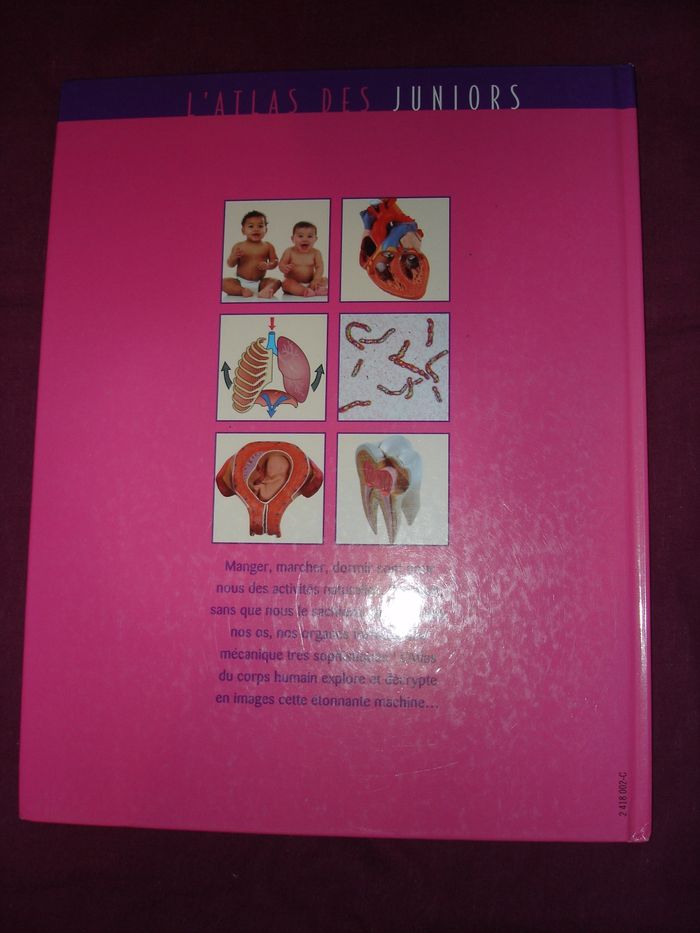 Livre pour Enfants "Le Corps Humain" - photo numéro 2