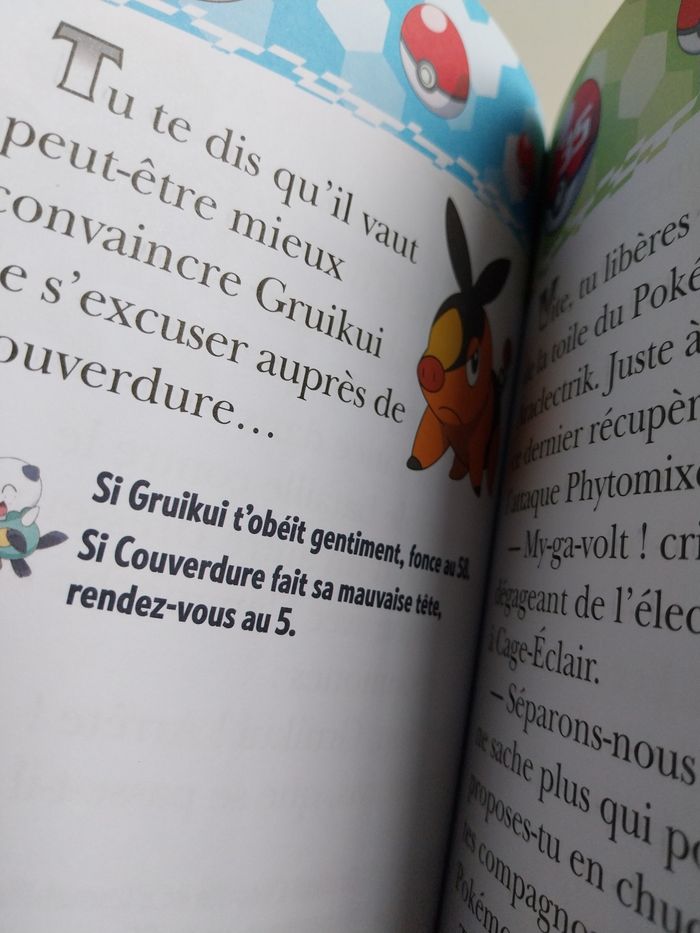 Livre Pokemon C'est toi le héros - photo numéro 2