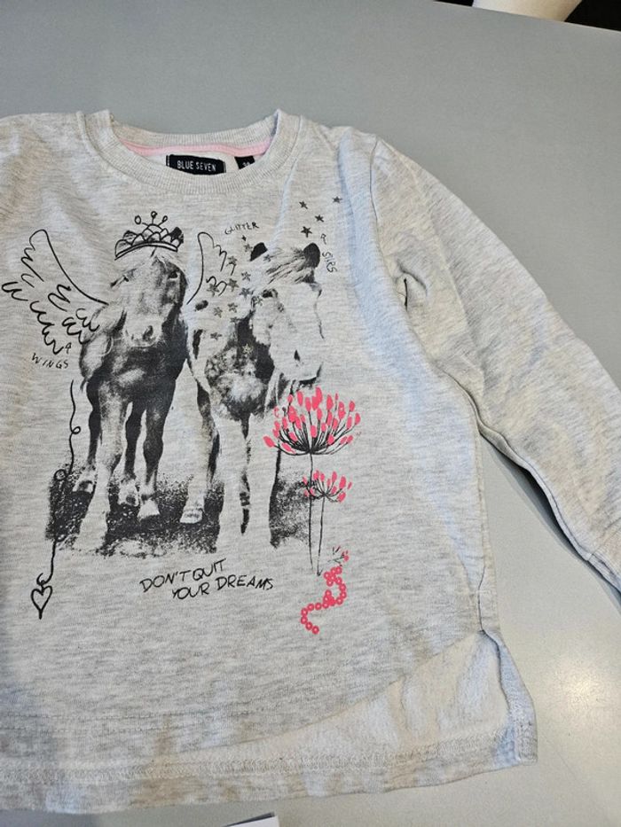 Pull chevaux - photo numéro 2