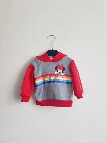 Sweat-shirt à capuche taille 12 mois