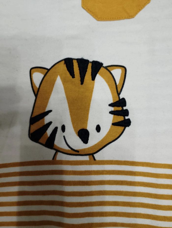 Ensemble tigre - photo numéro 4