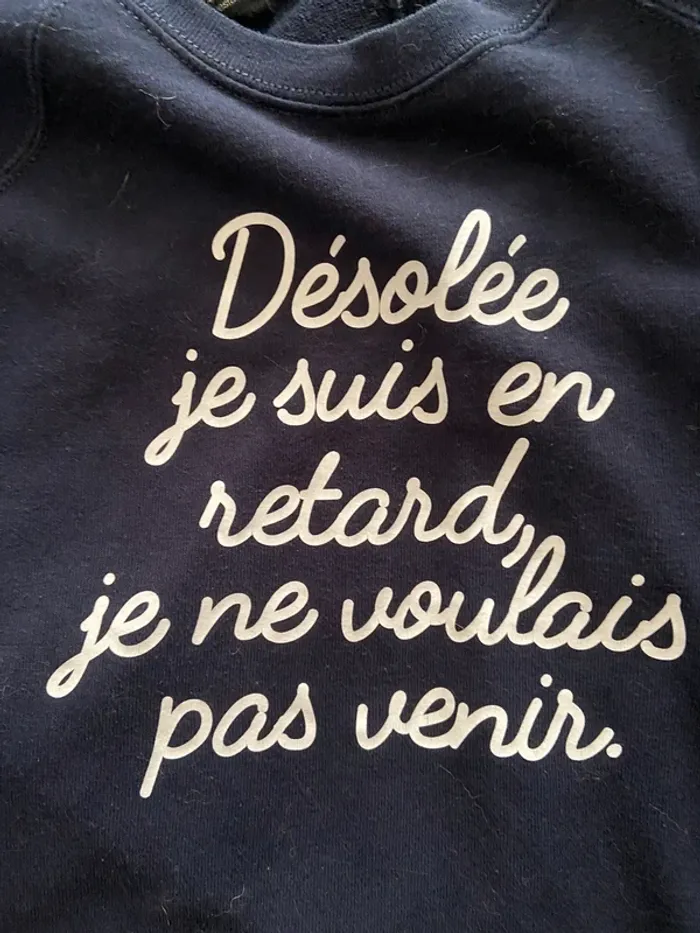 Lot 2 sweats / pulls - photo numéro 4