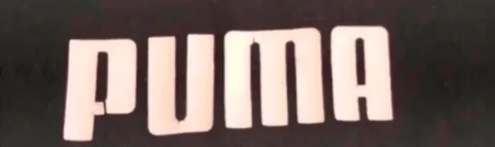 Tee-shirts puma - photo numéro 2