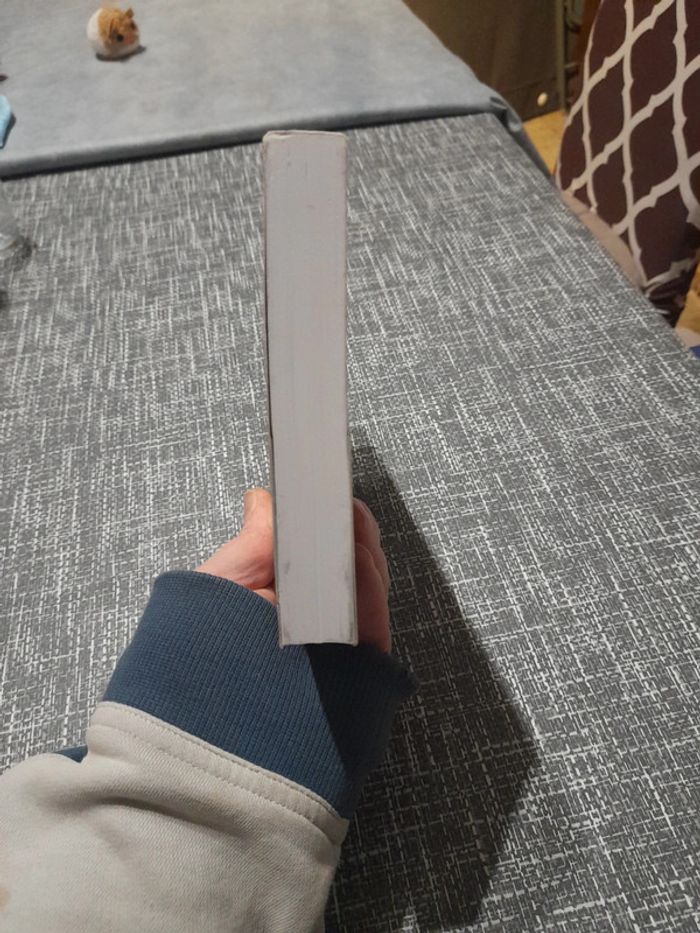 Tombquest : le livre des morts - photo numéro 5