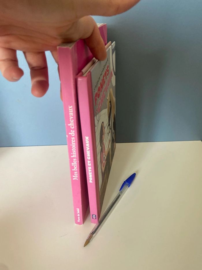 Livres enfant pour fille sur les chevaux - photo numéro 3