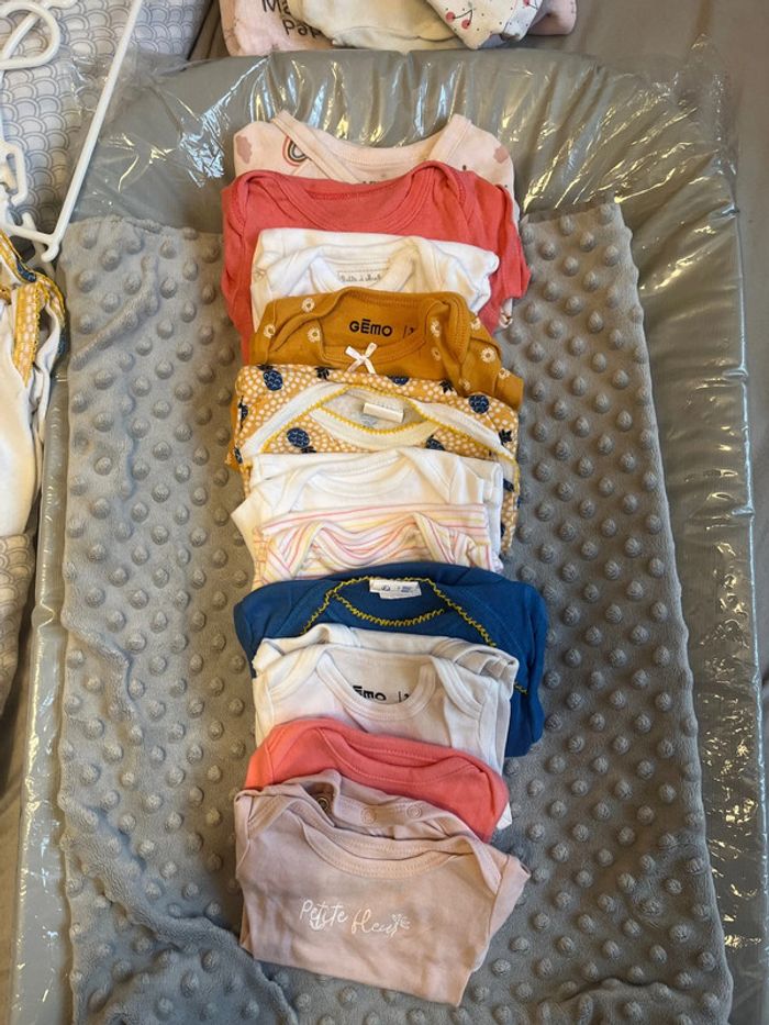 Lot 11 bodies manche courtes