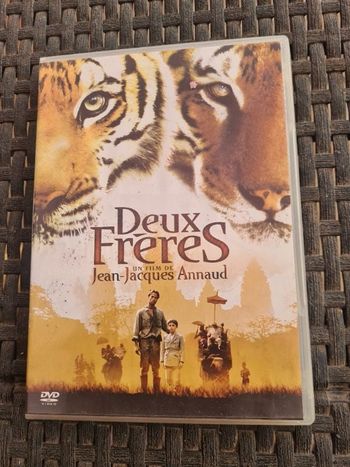 DVD Deux frères