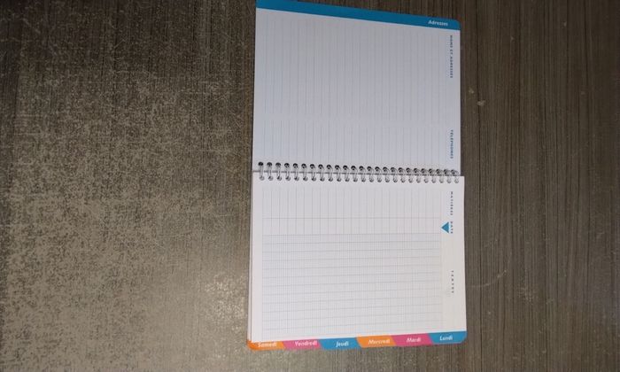 Cahier de texte dinosaure - photo numéro 2