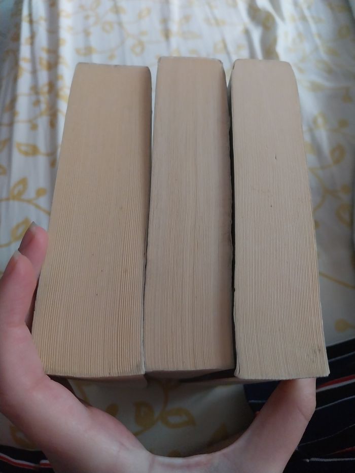 Romans Trilogie complète Angelfall tomes 1 à 3 L'Ultime Espoir Susan Ee - photo numéro 6