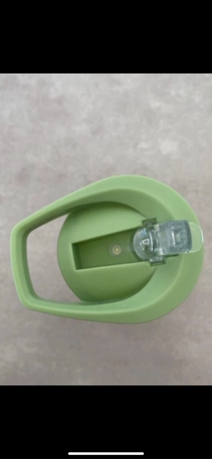 Gourde Dinosaure 🦖 - photo numéro 5