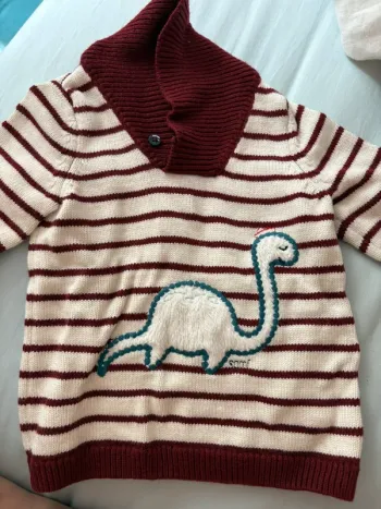 Pull dinosaure sergent major 9 mois