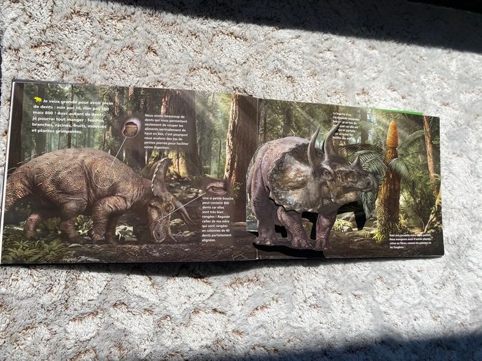 Livre pop up je suis un tricératops - photo numéro 4