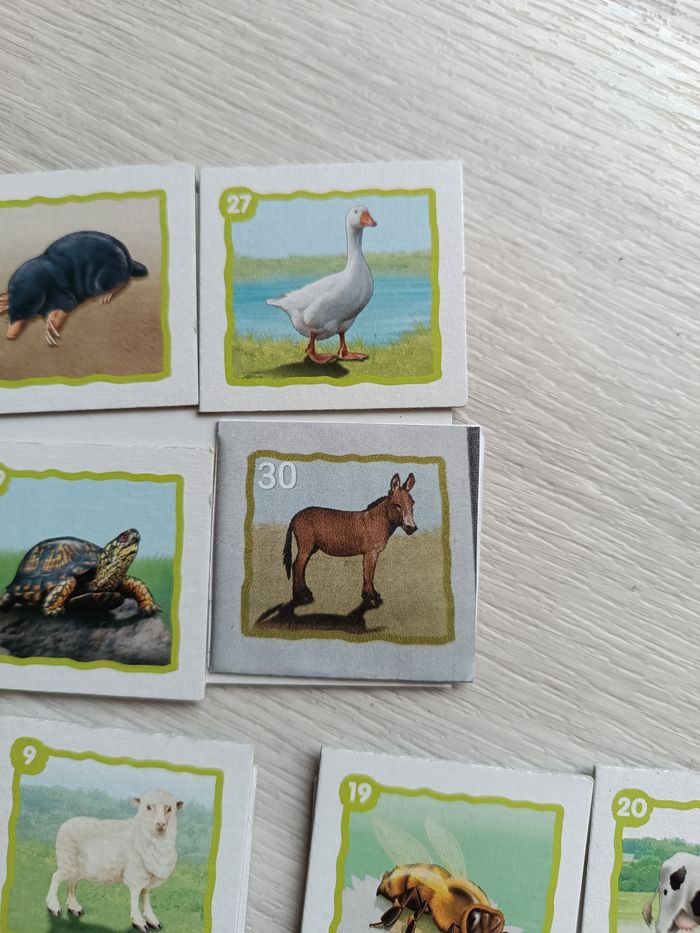 Jeu loto - photo numéro 3