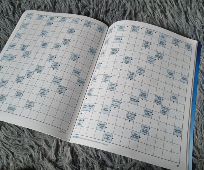 Livre de jeu fléchés (débutant) niveau 1 (83grilles) - photo numéro 4