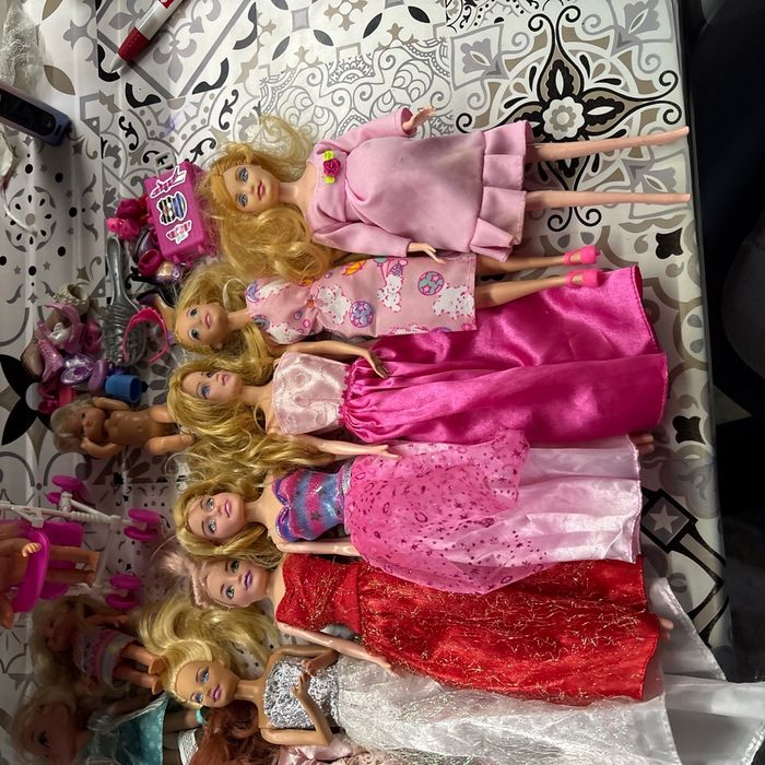 Lots de barie - photo numéro 4