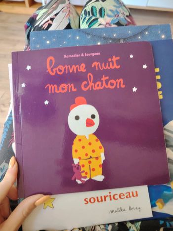 Livre "bonne nuit mon chaton "