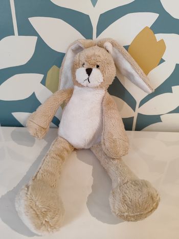 Doudou lapin bunny friend 