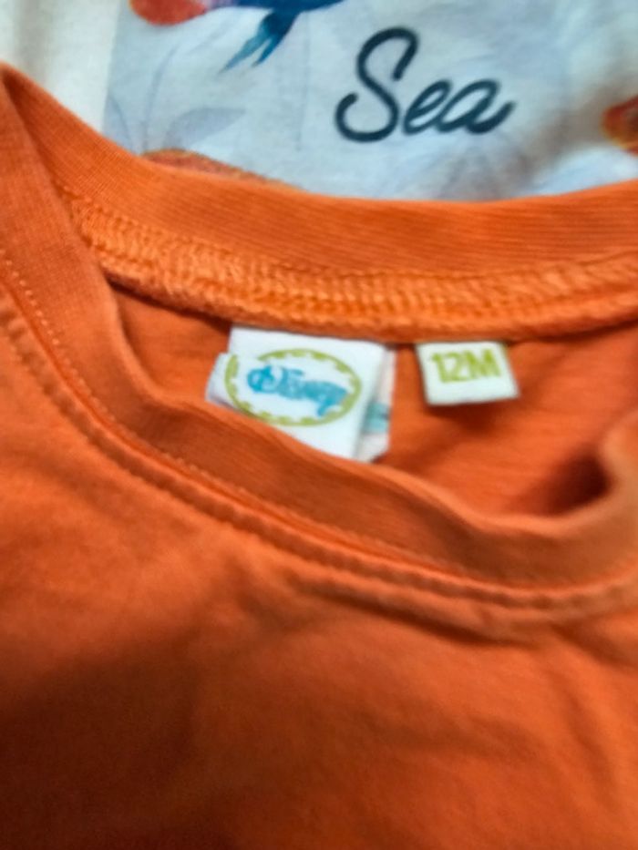 Lot 7 t shirt 12 mois - photo numéro 3