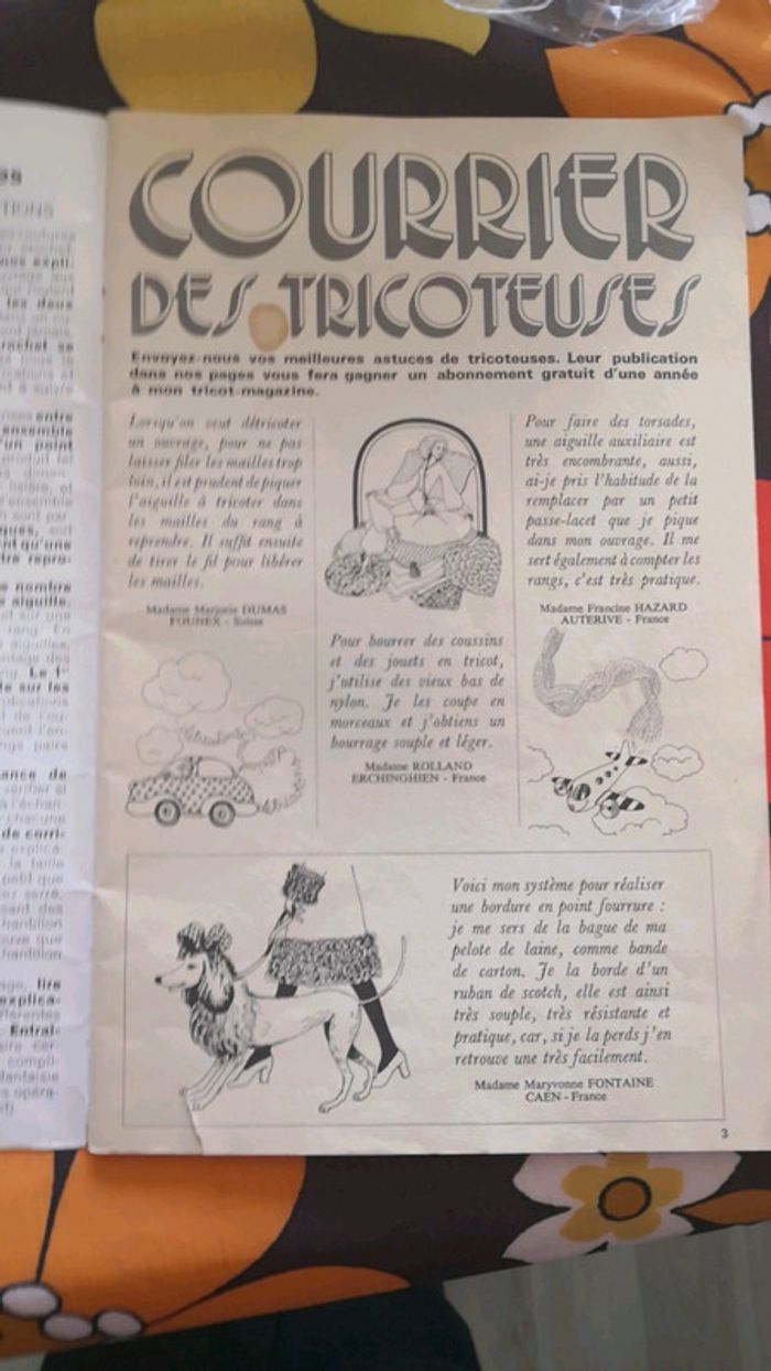 Montrer coffrage poupée animaux - photo numéro 4