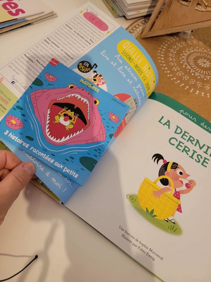 Lot histoires pour les petits 2-6ans - photo numéro 7